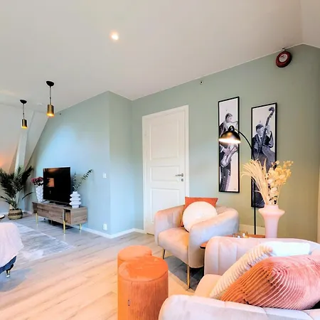 Penthouse In The Middle Of The Center - 5 Bedrooms - Fully Furnnished And Equipped - Parking Apartament Skien