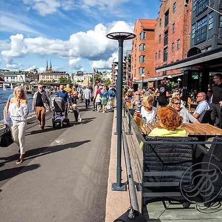 Penthouse In The Middle Of The Center - 5 Bedrooms - Fully Furnnished And Equipped - Parking Skien