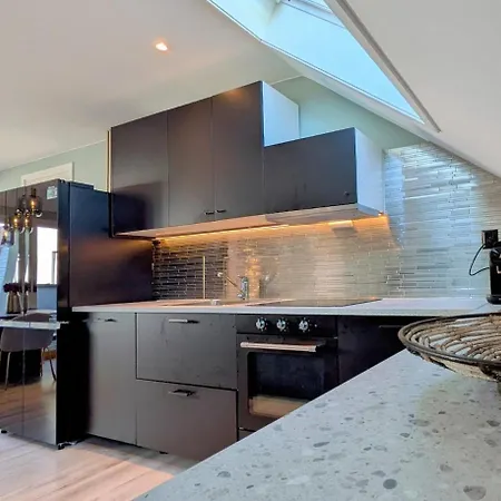 Penthouse In The Middle Of The Center - 5 Bedrooms - Fully Furnnished And Equipped - Parking * Skien